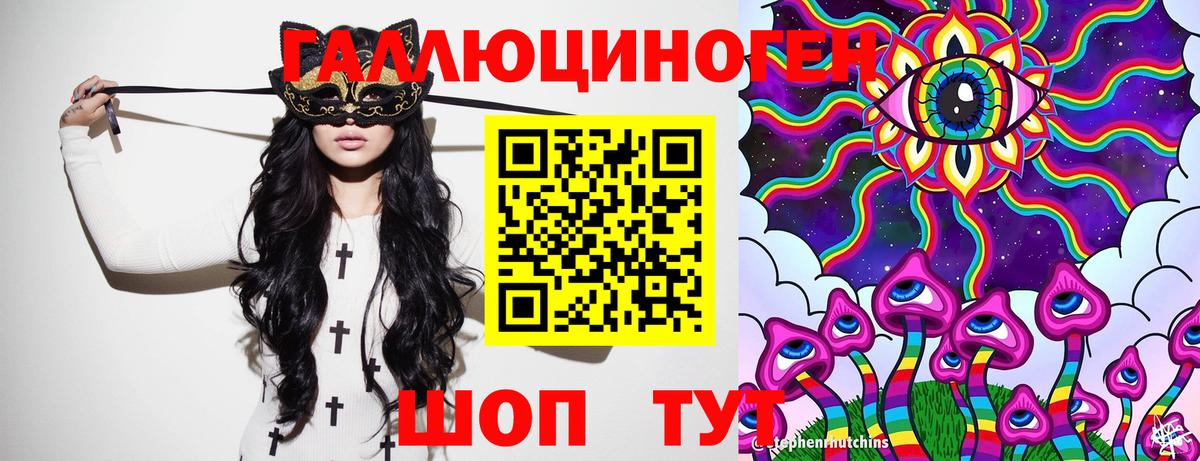 Бошки Шишки Коммунар