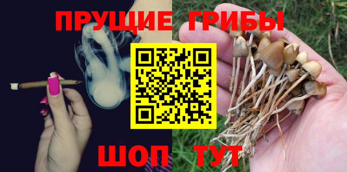 Псилоцибиновые грибы ЛСД Коммунар
