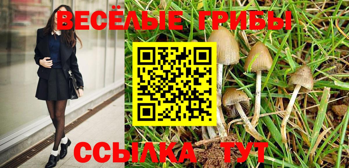Коммунар  Галлюциногенные грибы Psilocybine cubensis  Вход с VPN 